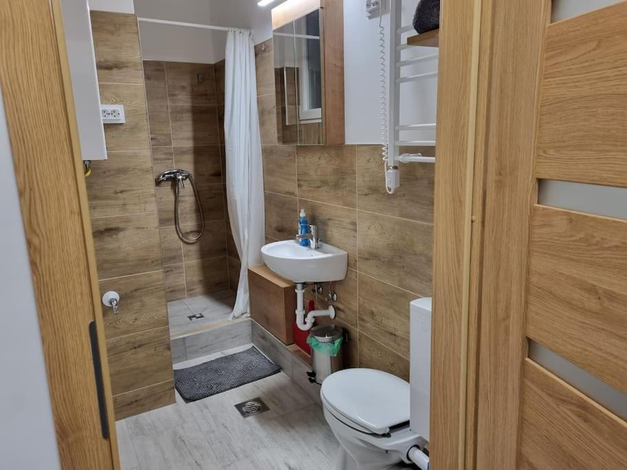 Downtown Studio Apartman Печ Екстер'єр фото